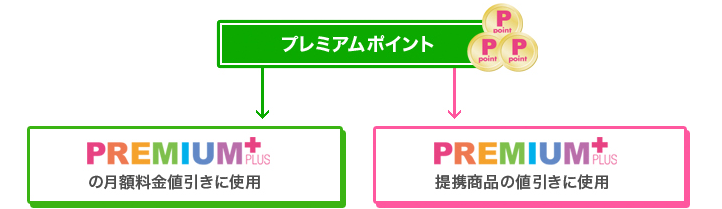 プレミアムポイント